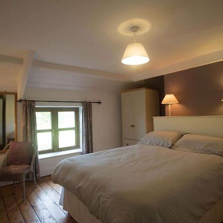 Perfect Cottage Retreat Near The Brecon Beacons Llanwrda 외부 사진