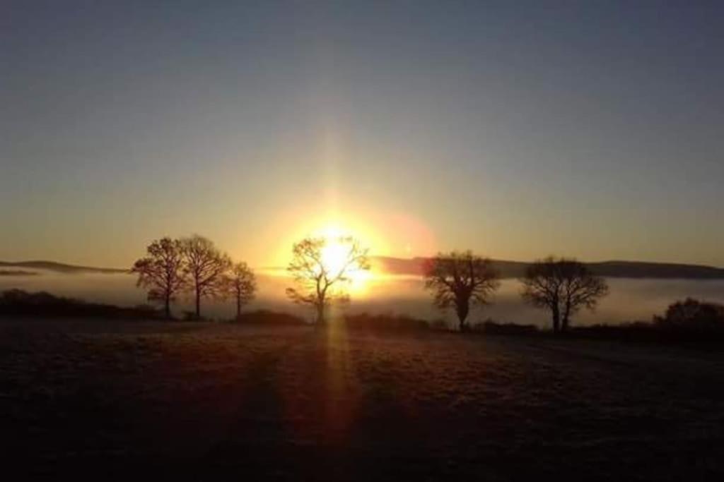 Perfect Cottage Retreat Near The Brecon Beacons Llanwrda 외부 사진