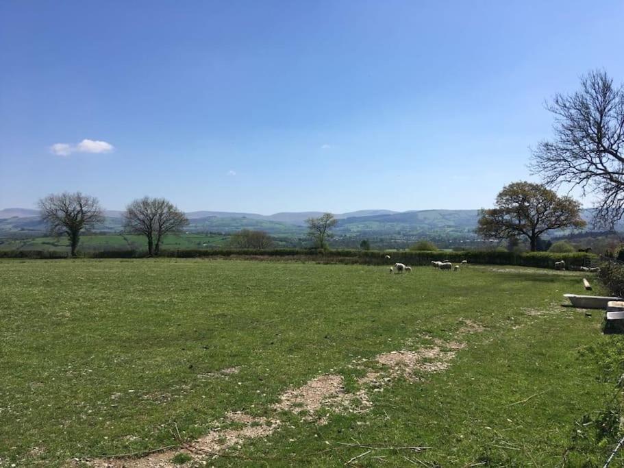 Perfect Cottage Retreat Near The Brecon Beacons Llanwrda 외부 사진