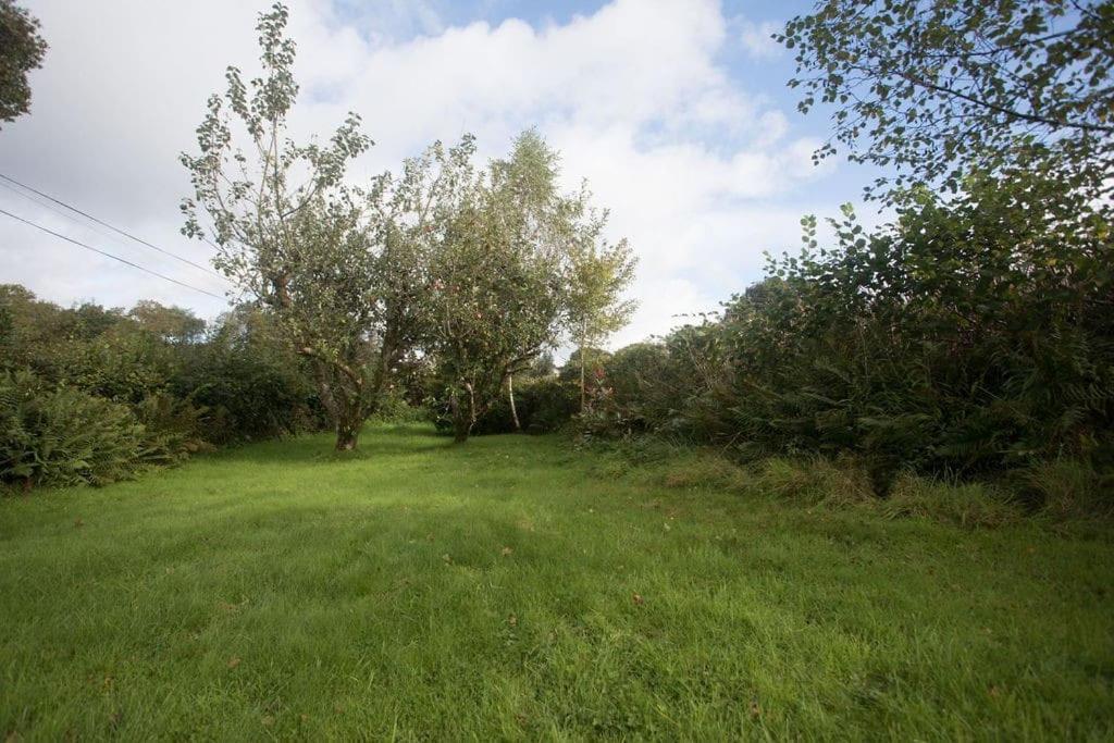 Perfect Cottage Retreat Near The Brecon Beacons Llanwrda 외부 사진